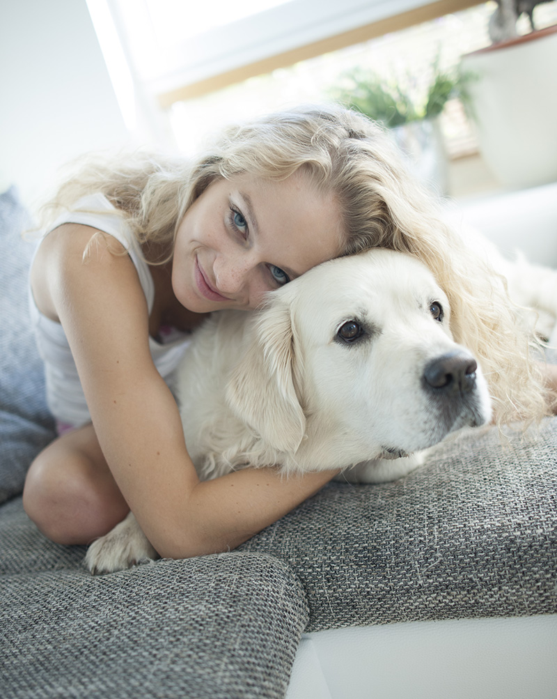 assurance chiens-paris-versailles-montigny-le-bretonneux-trappes-voisins-le-bretonneux-yvelines-essonne